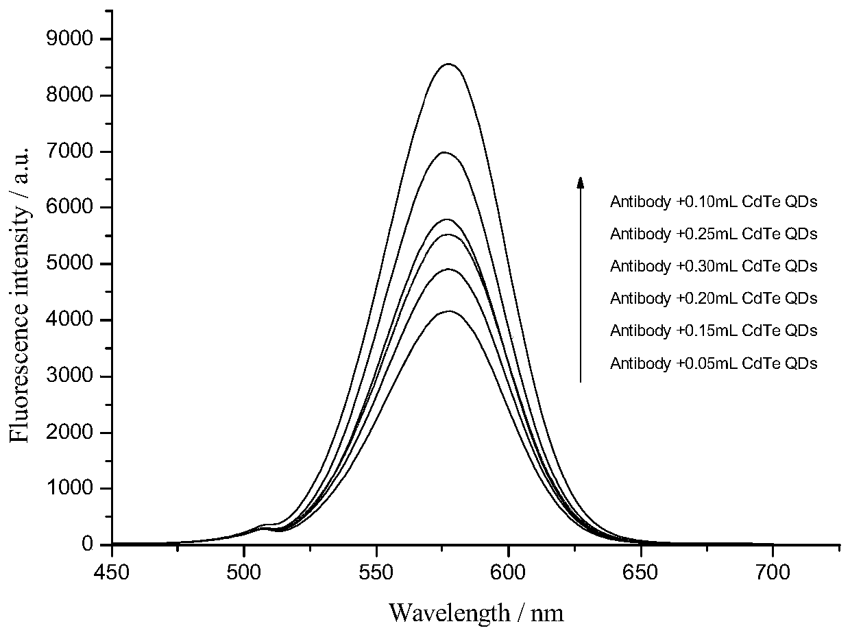 A method for determining zilpaterol using cdte quantum dots