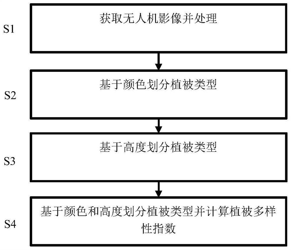 Vegetation diversity detection method based on consumer-level unmanned aerial vehicle