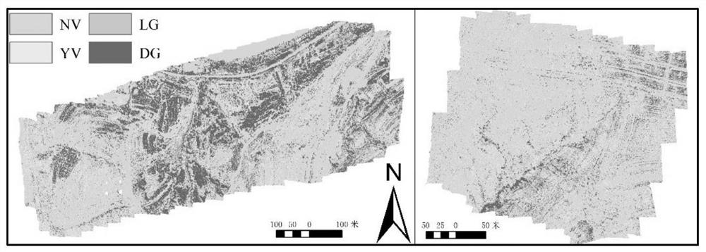 Vegetation diversity detection method based on consumer-level unmanned aerial vehicle