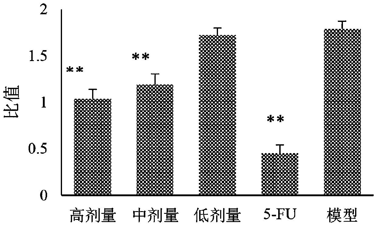 Extraction method of total saponins of trillium tschonoskii and pharmaceutical application thereof