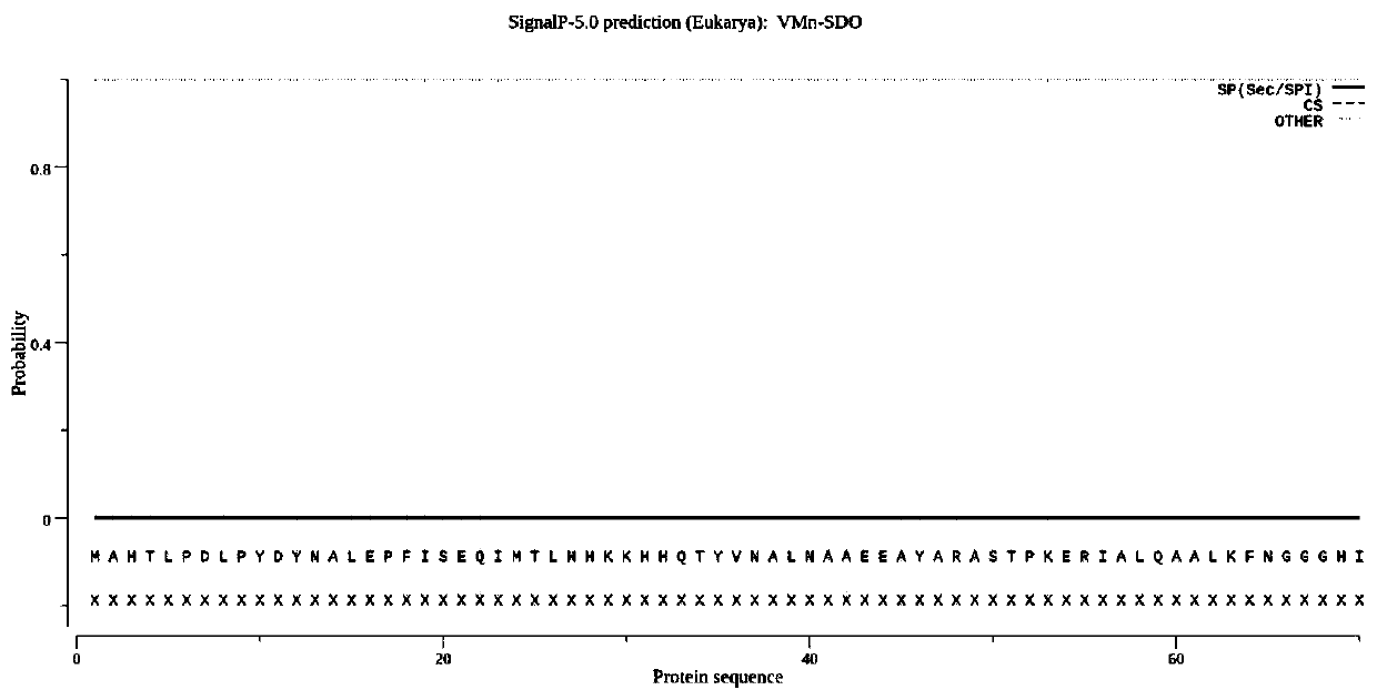 Application of straw mushroom manganese superoxide dismutase VMn-SOD in improving stress resistance ability of microorganisms