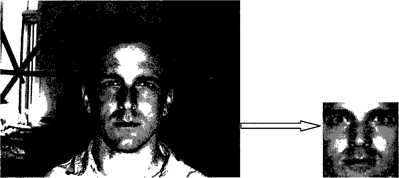 A method for normalizing face light on feature image with different size