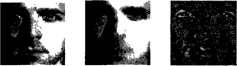 A method for normalizing face light on feature image with different size