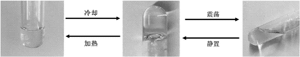 Gel propellant adopted as aerospace fuel, preparation method and uses thereof