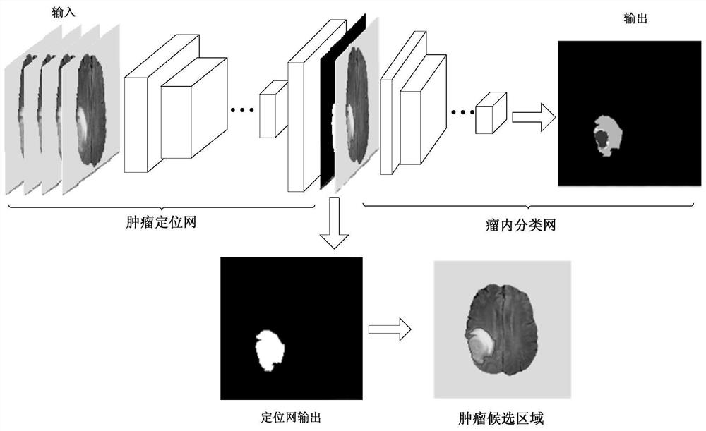 MRI brain tumor localization and intratumoral segmentation method based on deep cascaded convolutional network