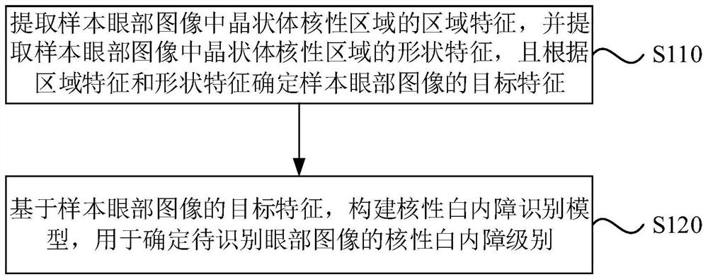 Nuclear cataract recognition method and device, electronic equipment and storage medium