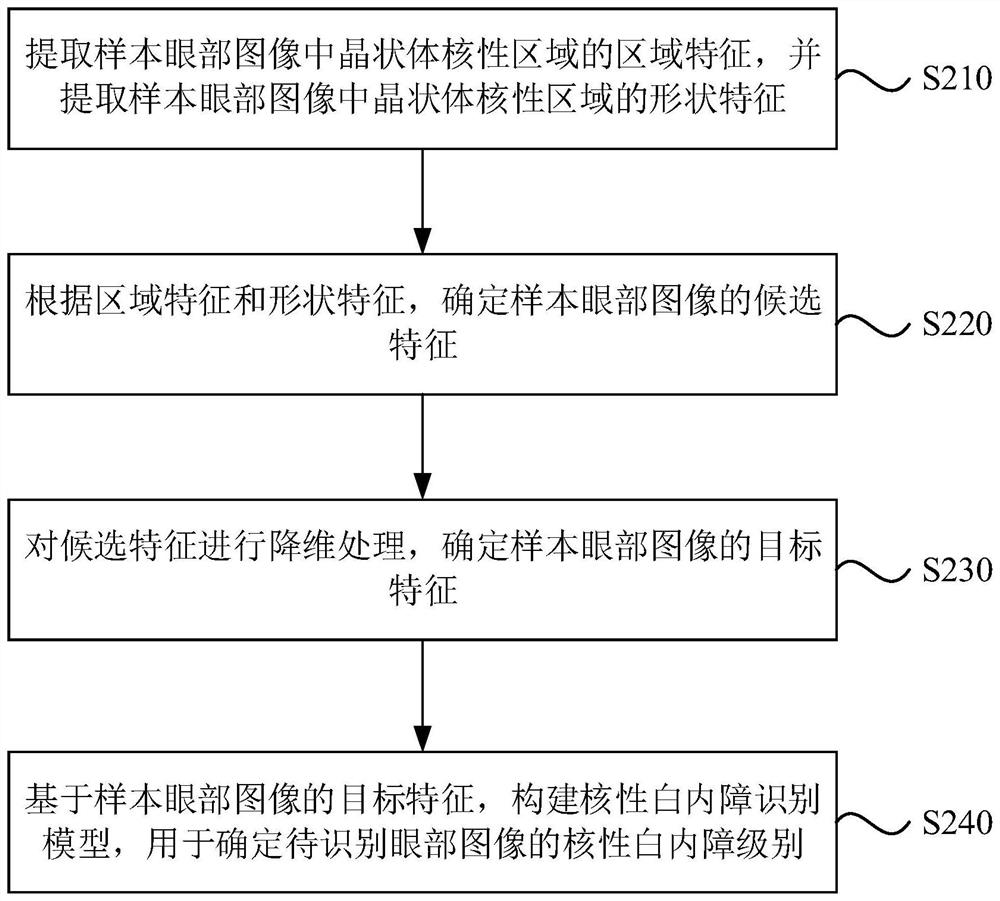 Nuclear cataract recognition method and device, electronic equipment and storage medium