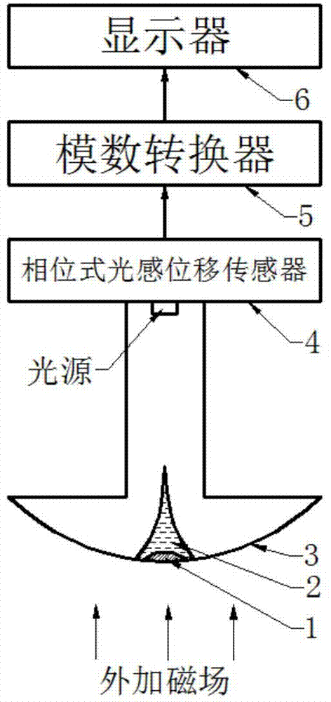 Magnetic liquid magnetic induction intensity sensor