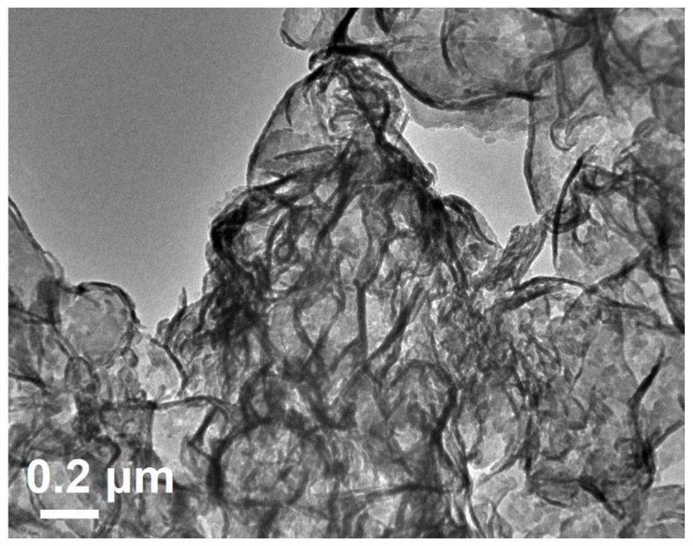 Co/V double-metal-doped g-C3N4 photocatalyst and preparation method and application thereof