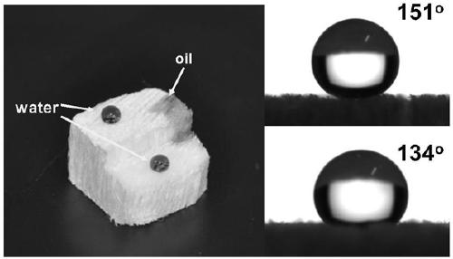 Wooden sponge oil-absorbing material and preparation method thereof