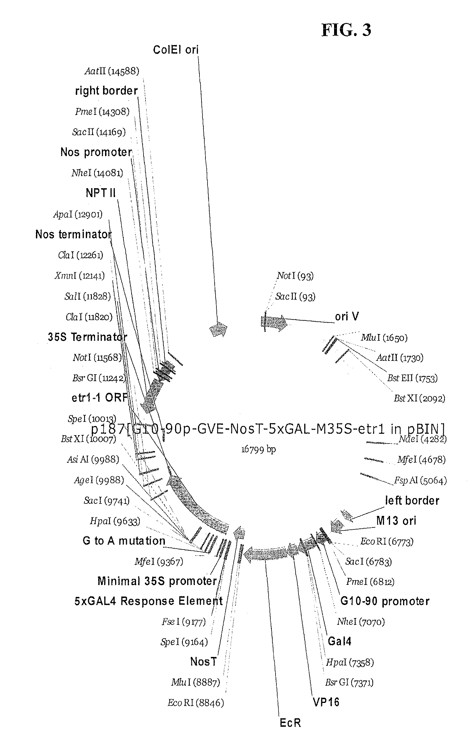 Compositions and methods for the modification of physiological responses in plants