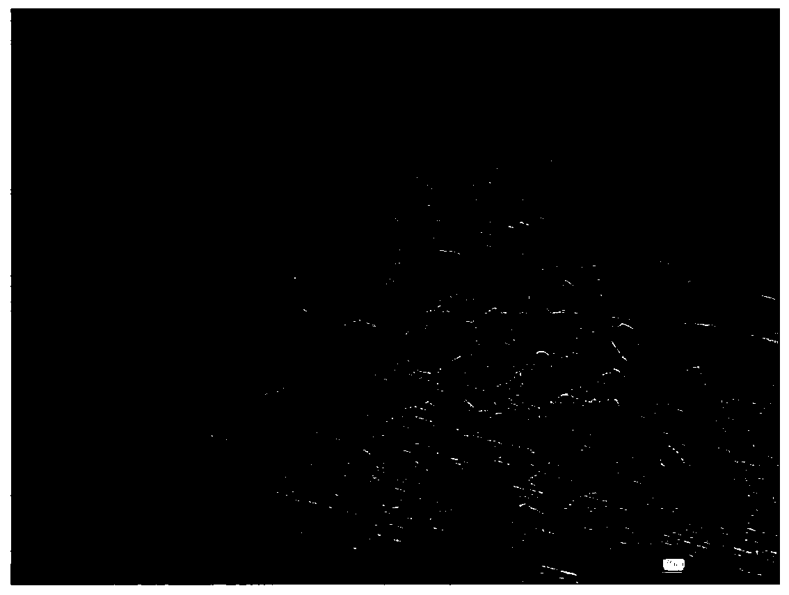 FeCrAl alloy tube material for light water reactor cladding and rolling method thereof