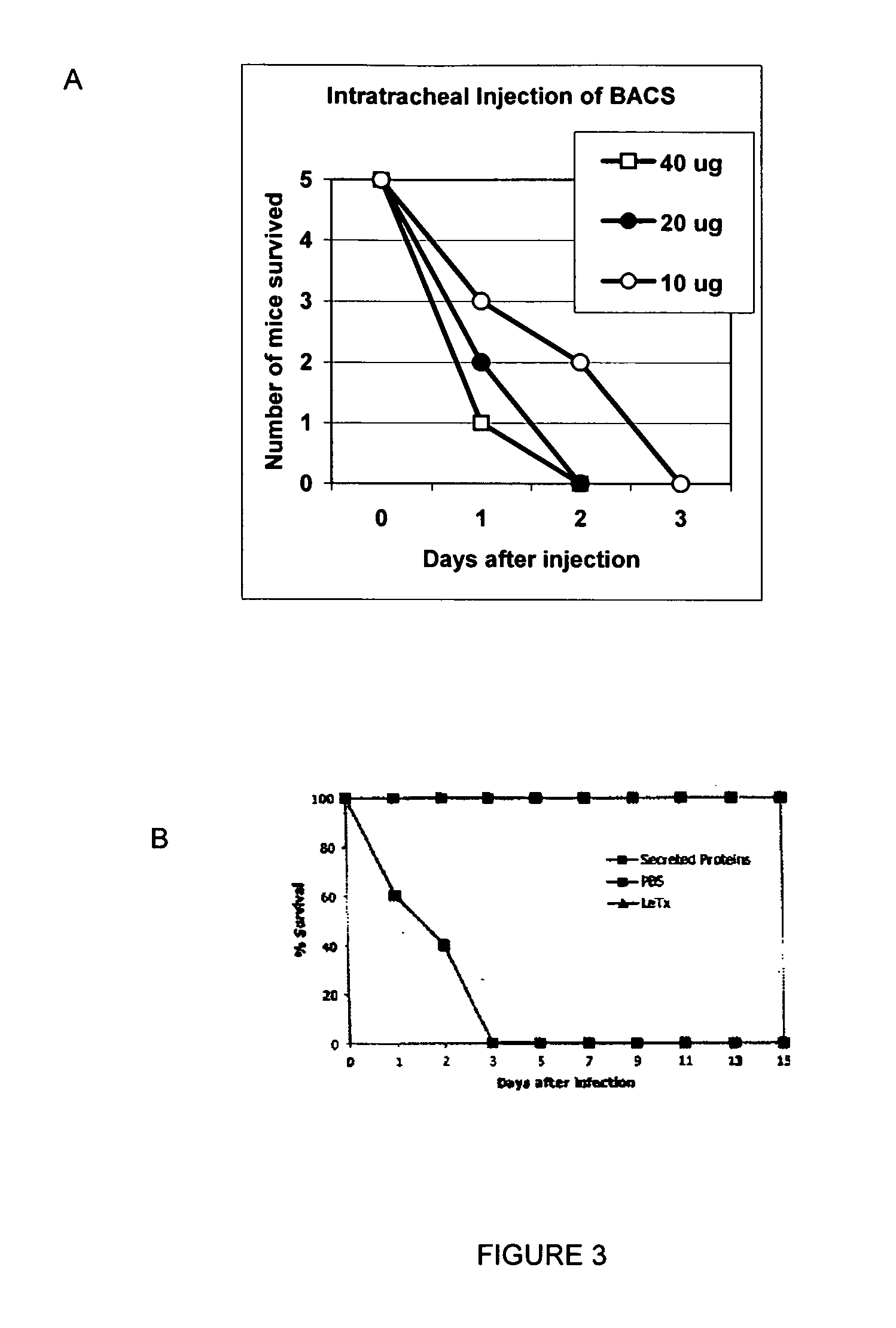 Combination therapy for anthrax using antibiotics and protease inhibitors