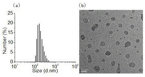 Ph-responsive nanometer drug delivery system based on dendrimers modified by short-chain alkane and preparation method and application of drug delivery system