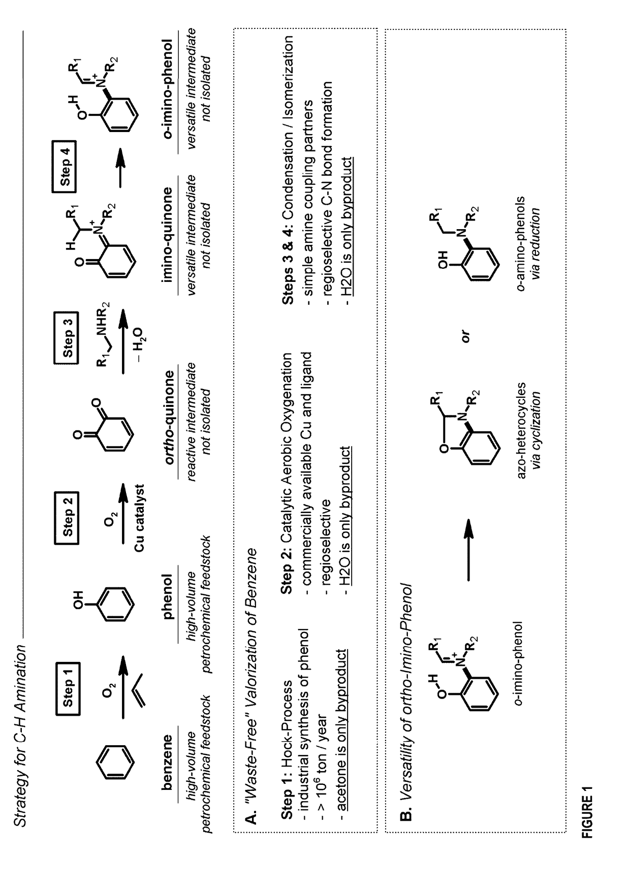 Method for producing an arene with an aromatic c-n bond ortho to an aromatic c-o bond