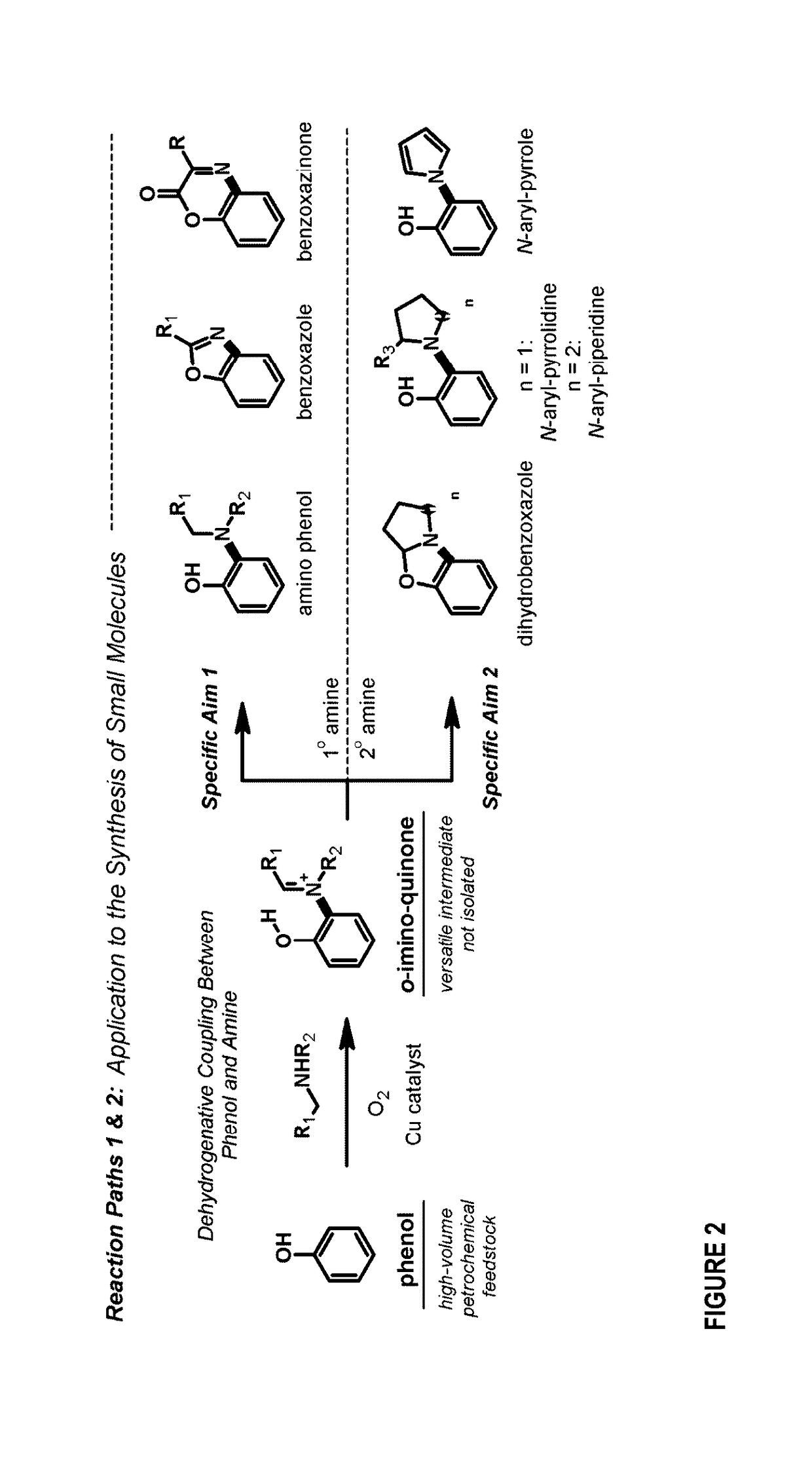 Method for producing an arene with an aromatic c-n bond ortho to an aromatic c-o bond