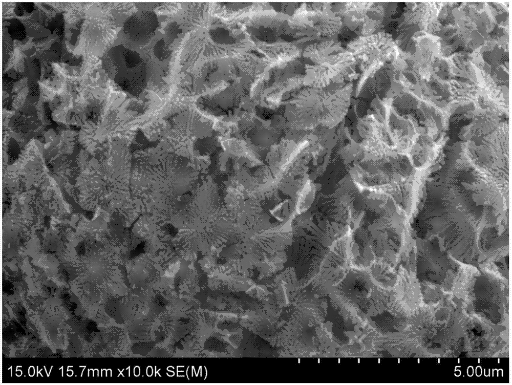 Porous silicon negative electrode material covered by composite carbon and preparing method thereof