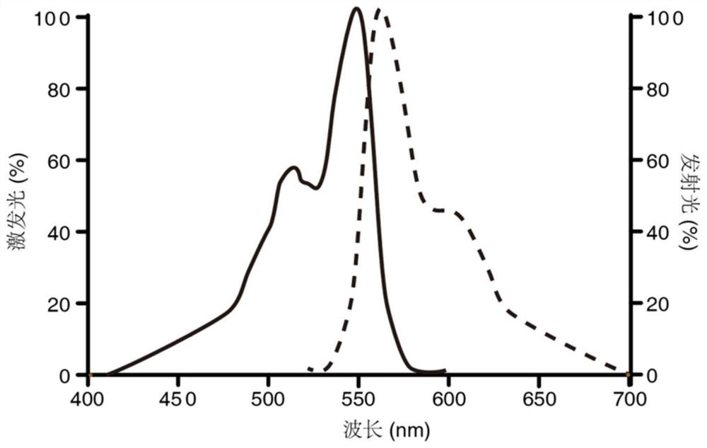 Application of polyphyllin I in lysosome detection