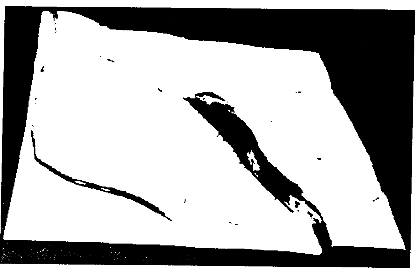 Optimizing design method of 3D seismic observation system based on geologic geophysical model