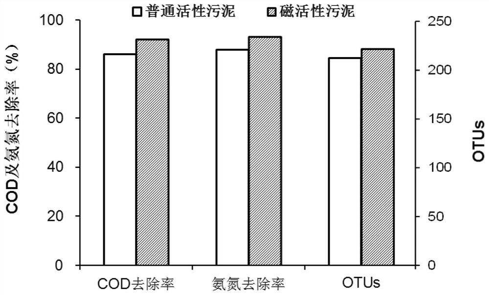 Magnetic biochemical system and method suitable for treatment of flown-back shale gas fracturing fluid