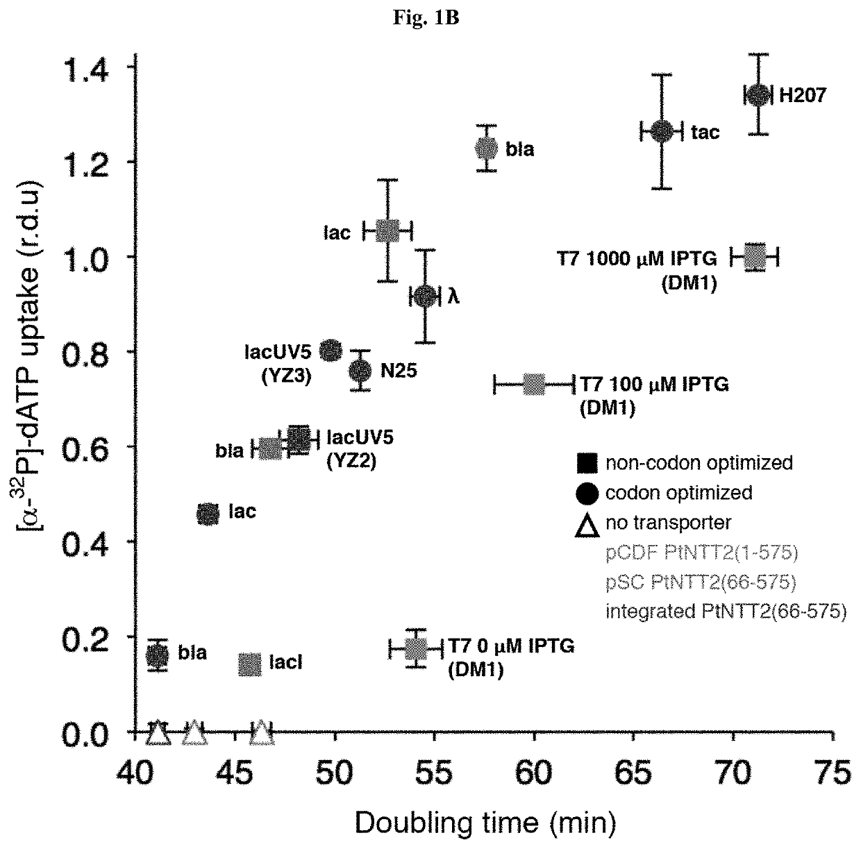 Novel nucleoside triphosphate transporter and uses thereof