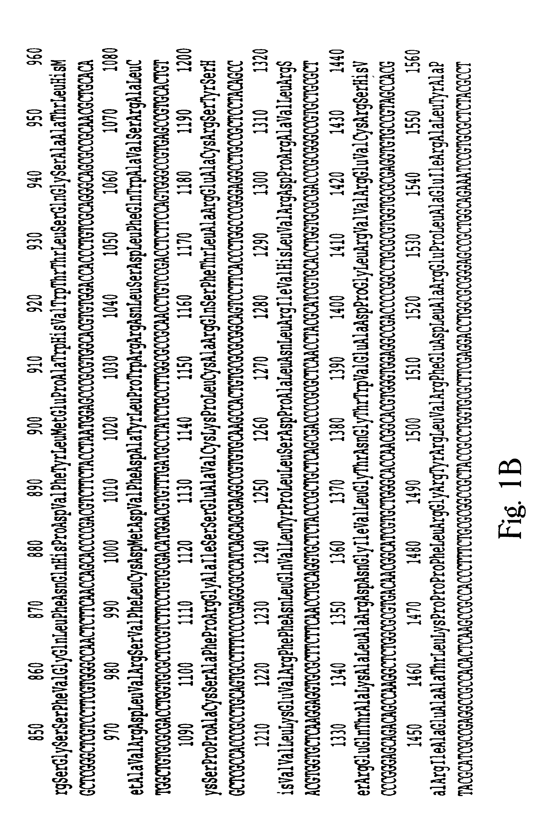 Methods of treating macular corneal dystrophy