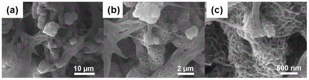 Modified waterborne polyurethane latex film and preparation method thereof