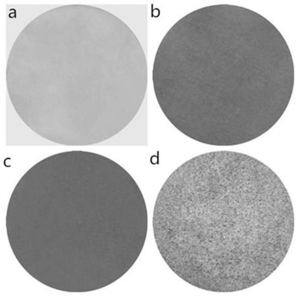 A kind of preparation method of polydopamine structural color film