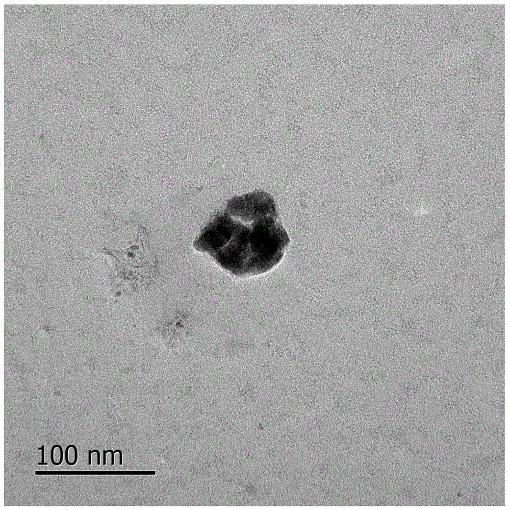 Preparation of protein-polysaccharide nano gel on basis of Maillard reaction in macromolecular crowding environment