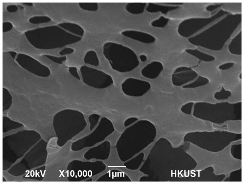 A nanofiber moisturizing mask with viscous hydroxyl functional groups on the surface and its preparation method and application