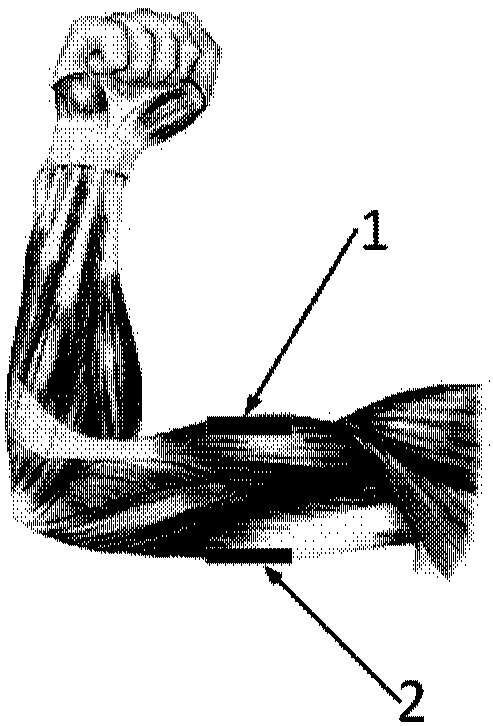 Active training control method and device for a rehabilitation robot