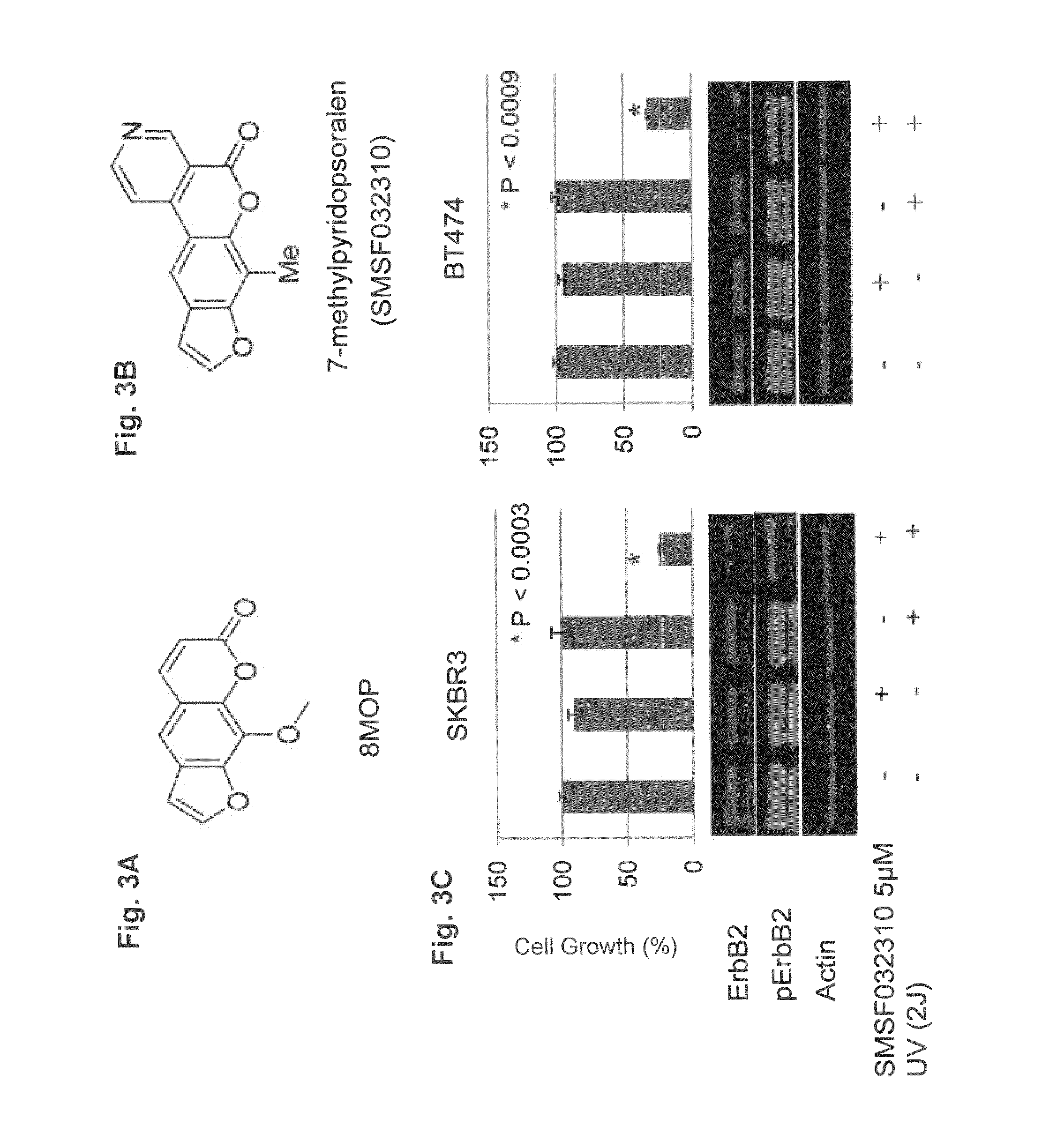 Use of psoralen derivatives and combination therapy for treatment of cell proliferation disorders