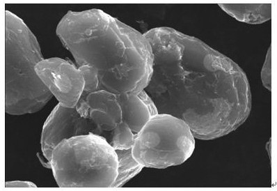 A kind of method for preparing tin-carbon lithium ion negative electrode material