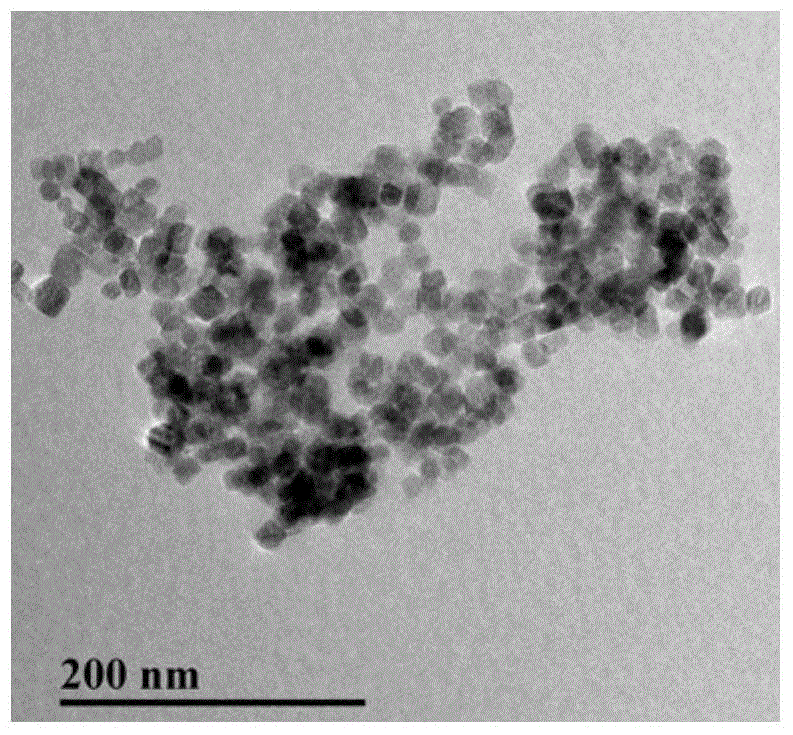 Method for detecting oxytetracycline (OTC) in food by virtue of functional magnetic bead isolation-enzyme linked aptamer