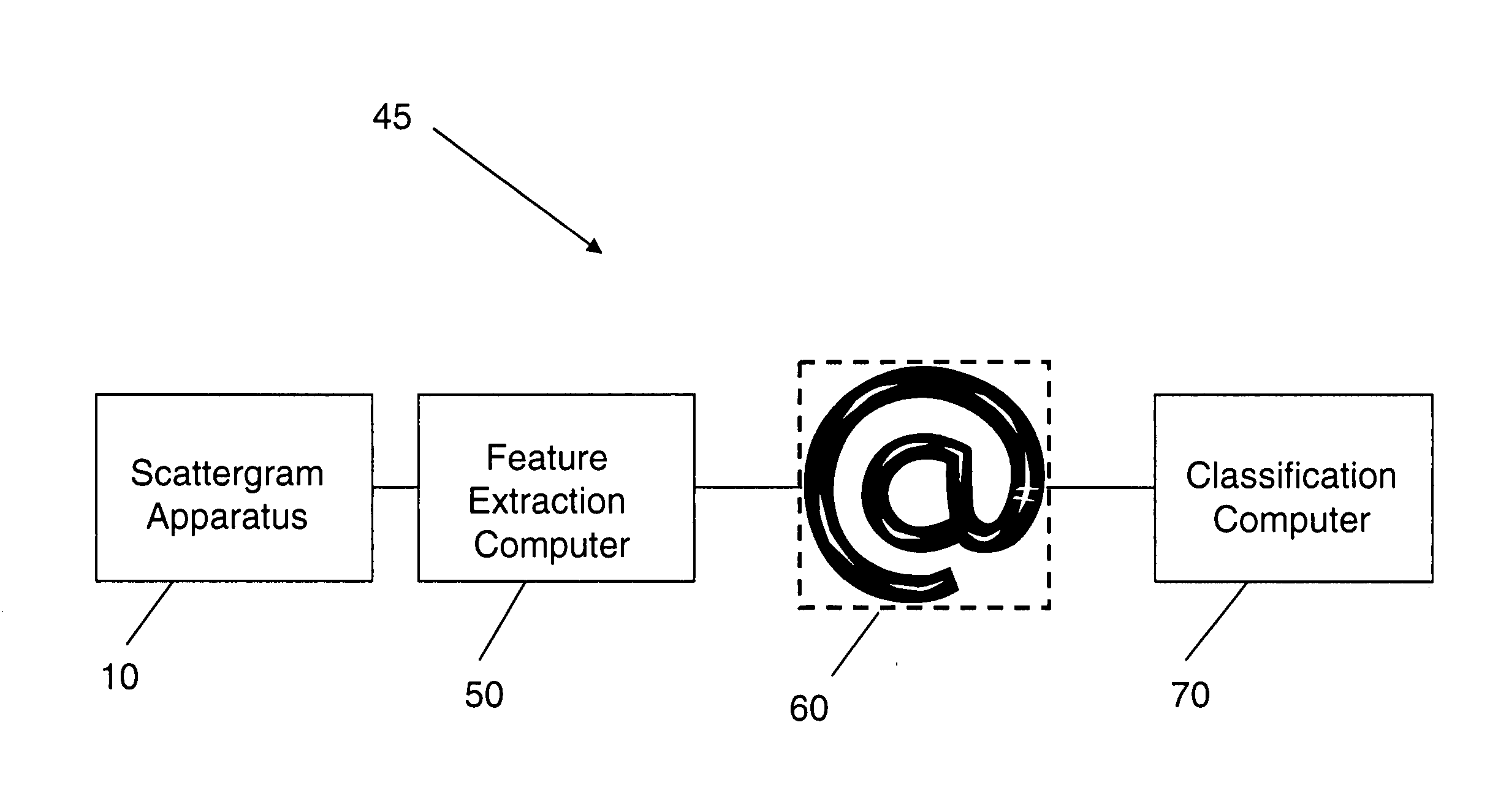 System and method of organism identification