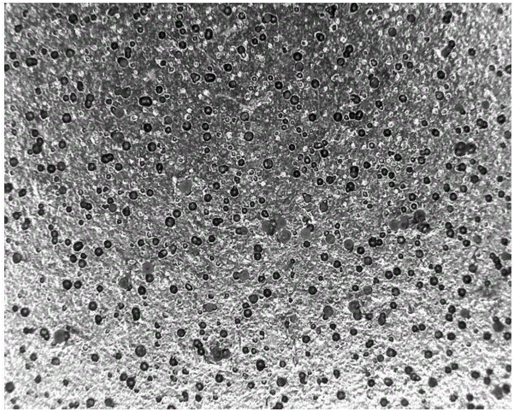 Method for improving performance of epoxy resin plating of neodymium iron boron permanent magnet