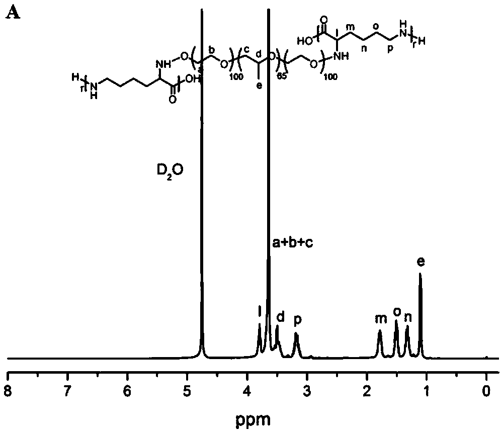 Self-healing hydrogel capable of promoting wound healing and cancer therapy and preparation method thereof