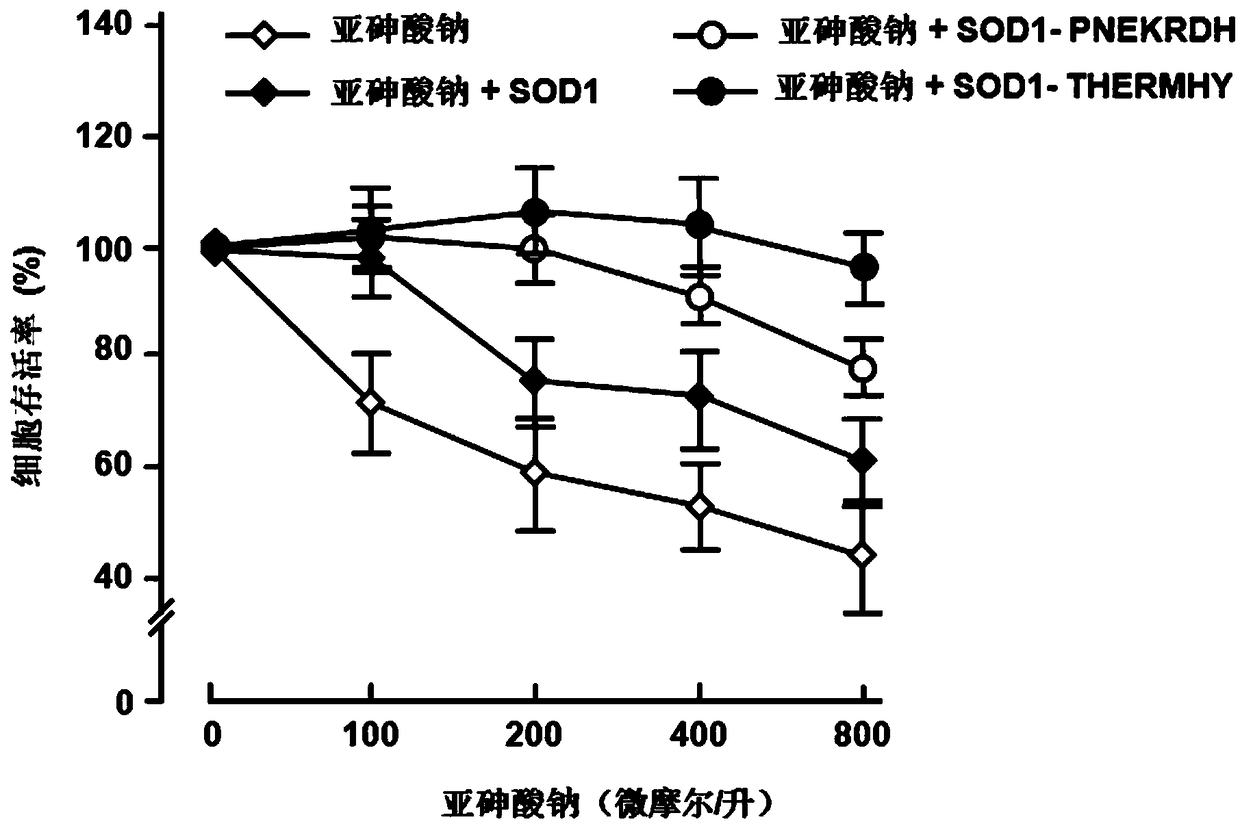 Cell penetrating peptide with neutral charge and application of cell penetrating peptide as delivery carrier in cells