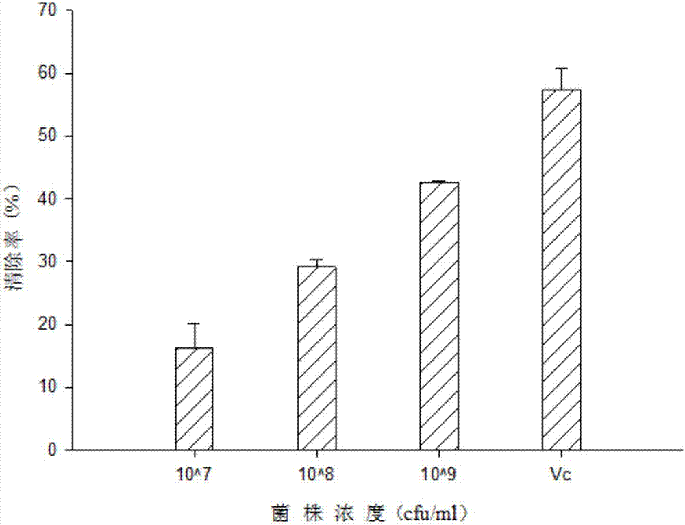 Lactobacillus plantarum and application of same to preparation of Chinese-style fermented pork sausage