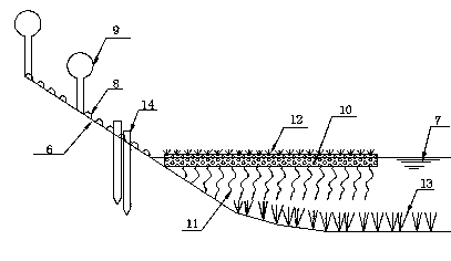 Method for in-situ ecological treatment of town domestic waste water by using river and creek converging