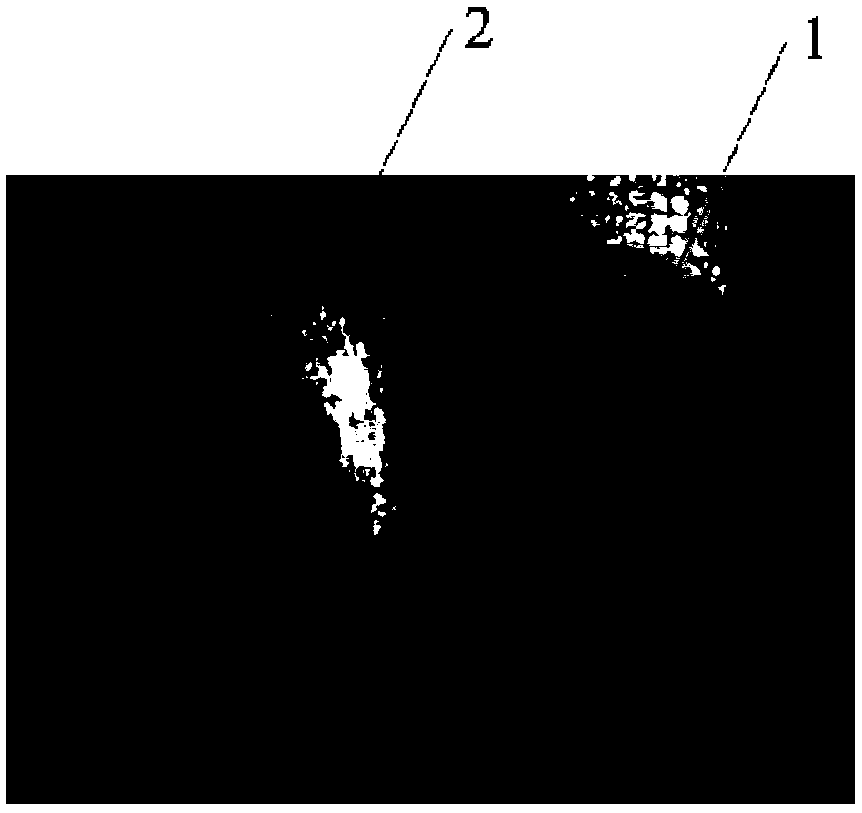 Recombinant human-like collagen gel dressing for wounds, preparation method and use method thereof