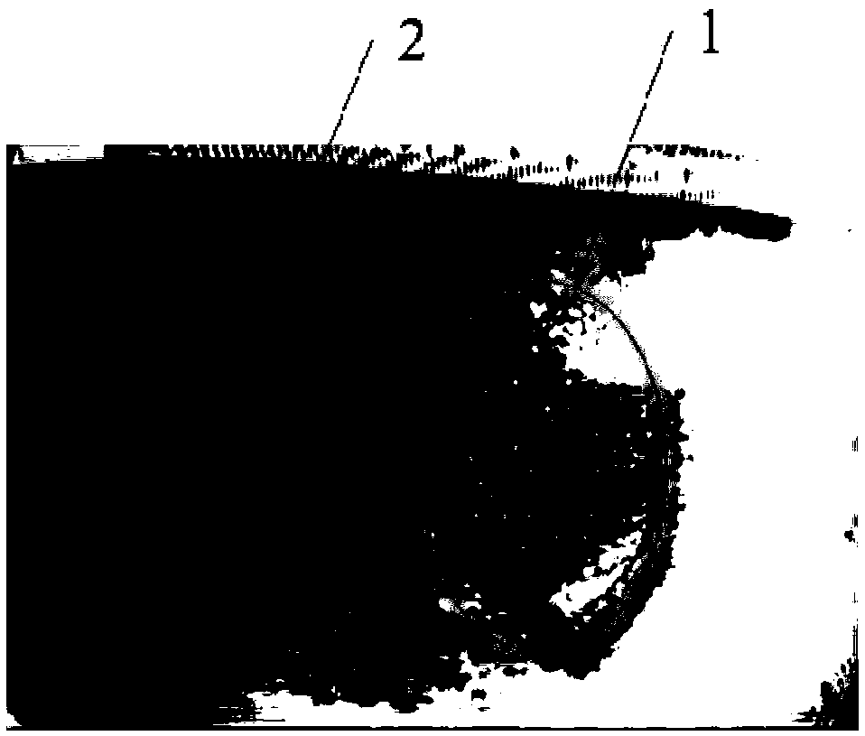 Recombinant human-like collagen gel dressing for wounds, preparation method and use method thereof