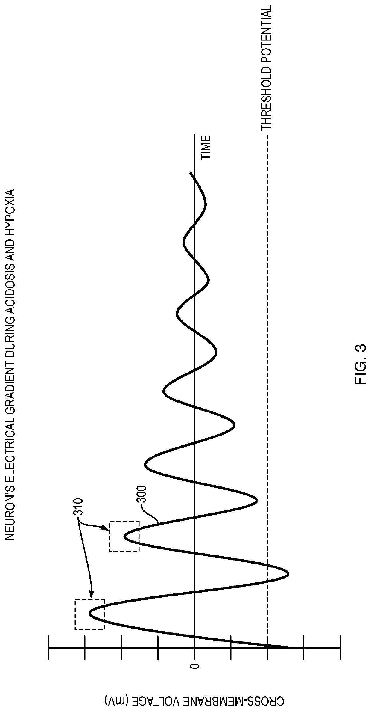 Methods of measuring head, neck, and brain function and predicting and diagnosing memory impairment