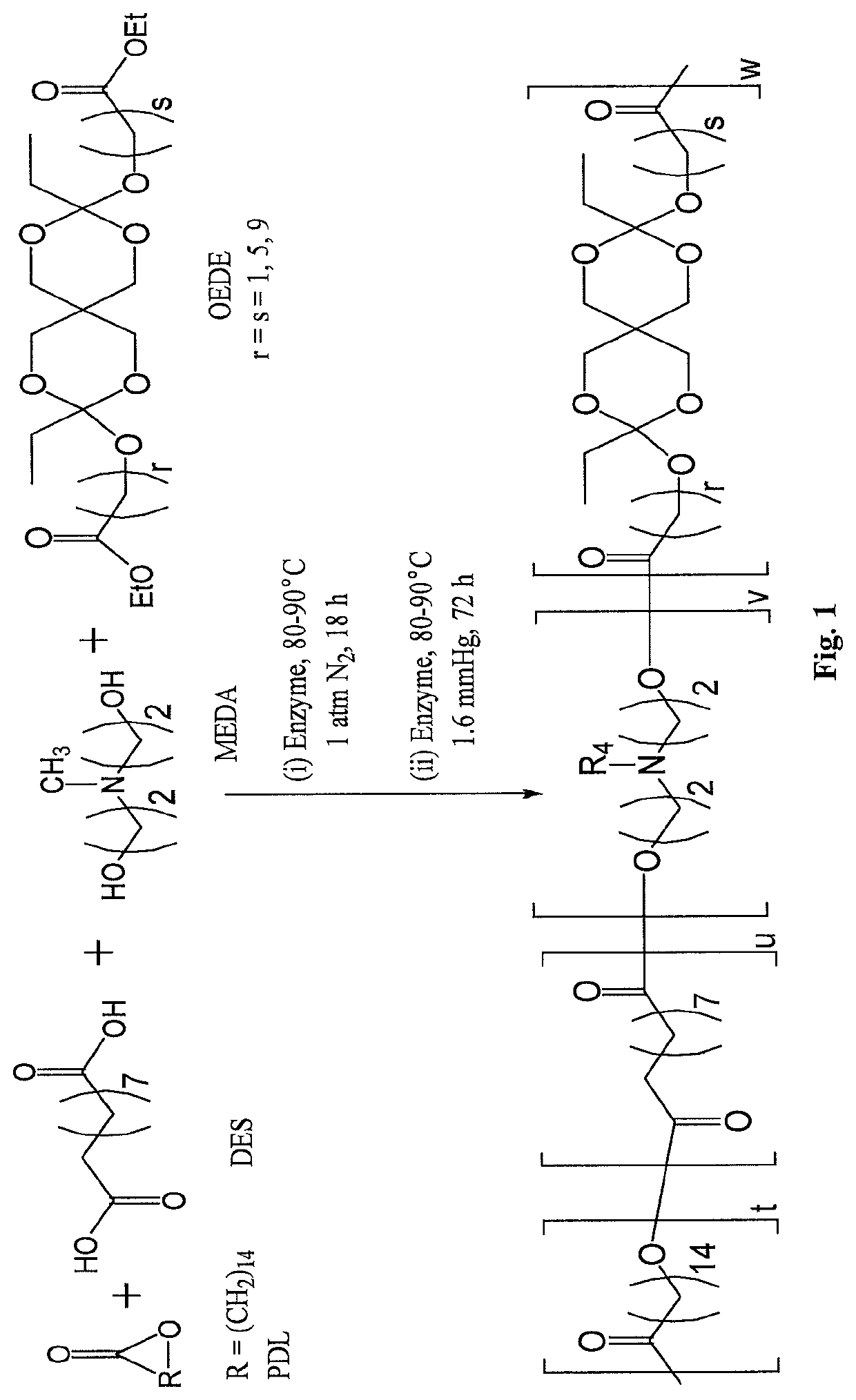 Formulations for targeted release of agents under low pH conditions and methods of use thereof