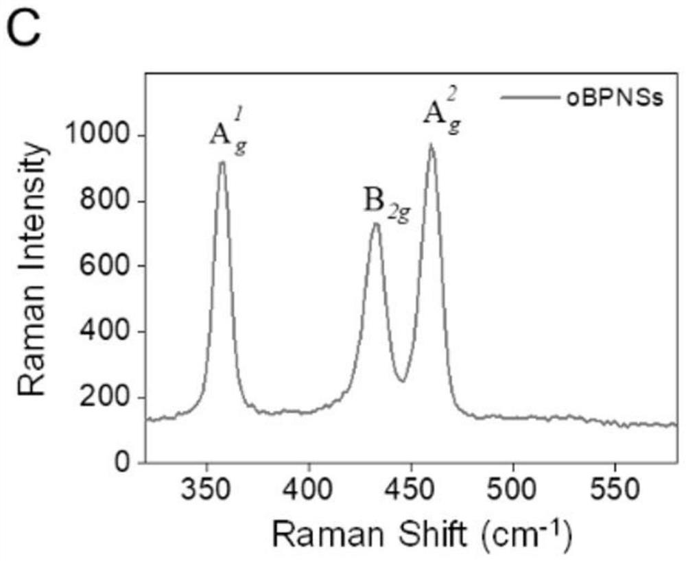 Oxidized black phosphorus nano material for osteoporosis