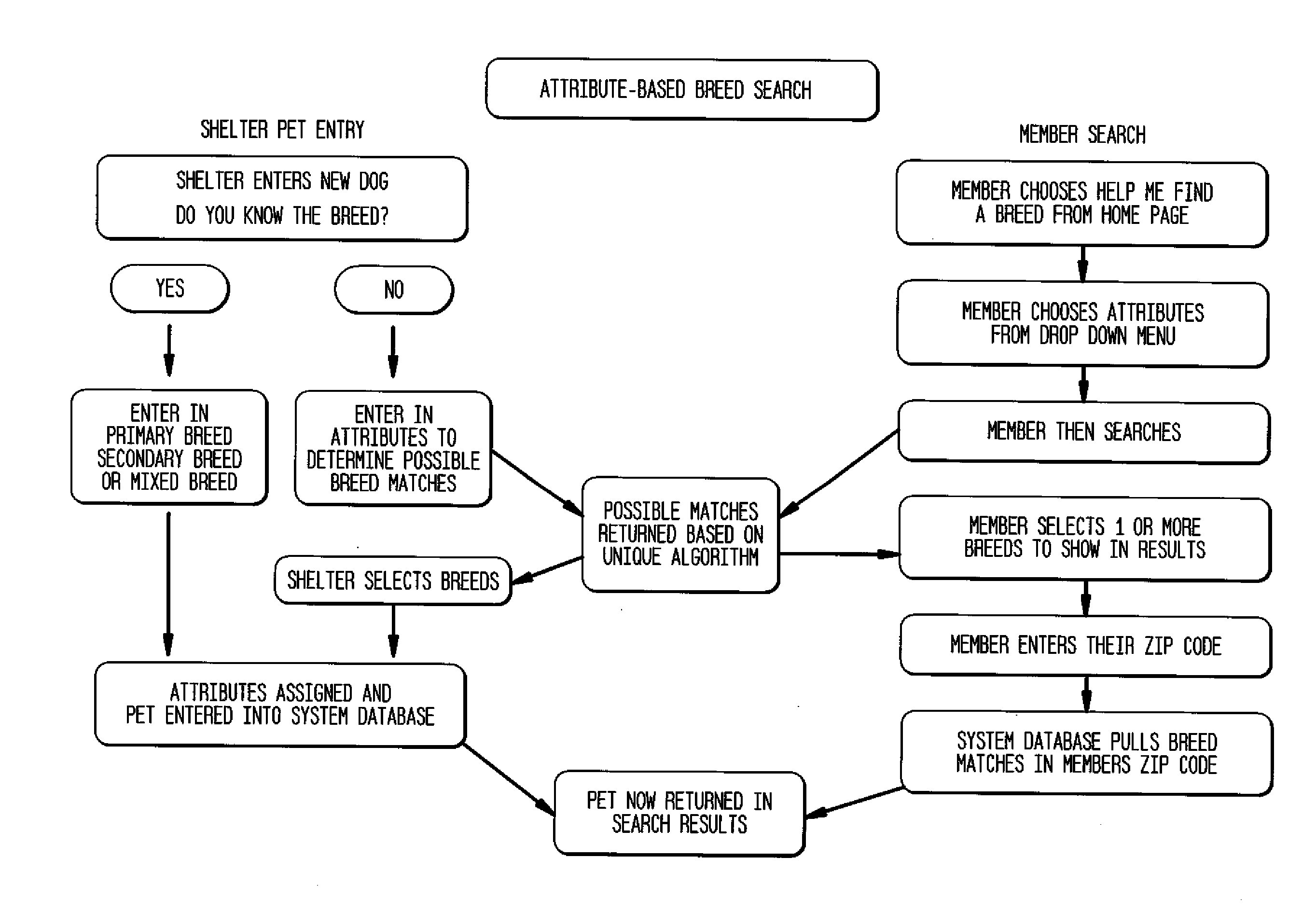 Computer-implemented animal shelter management system