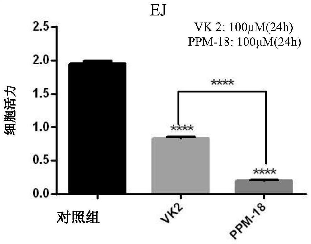 Application of ppm-18 inducing apoptosis of bladder cancer cells by activating intracellular reactive oxygen species