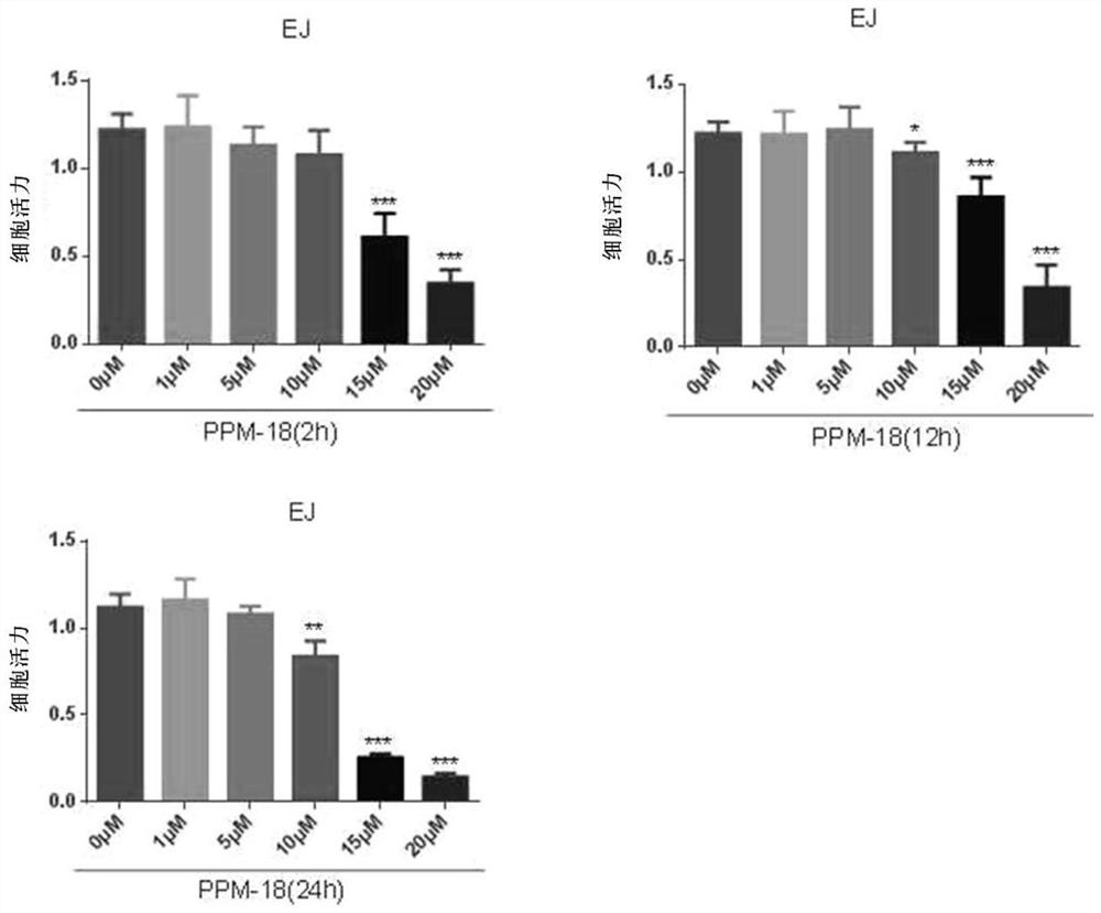 Application of ppm-18 inducing apoptosis of bladder cancer cells by activating intracellular reactive oxygen species