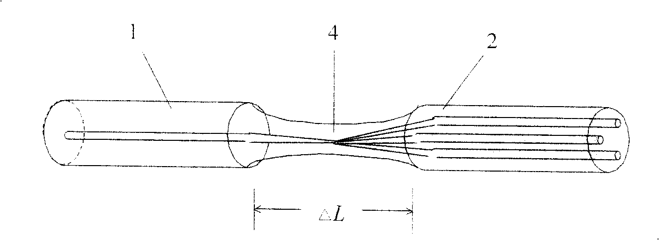 Single fiber and multi-core fiber coupler and fused biconic taper coupling method thereof