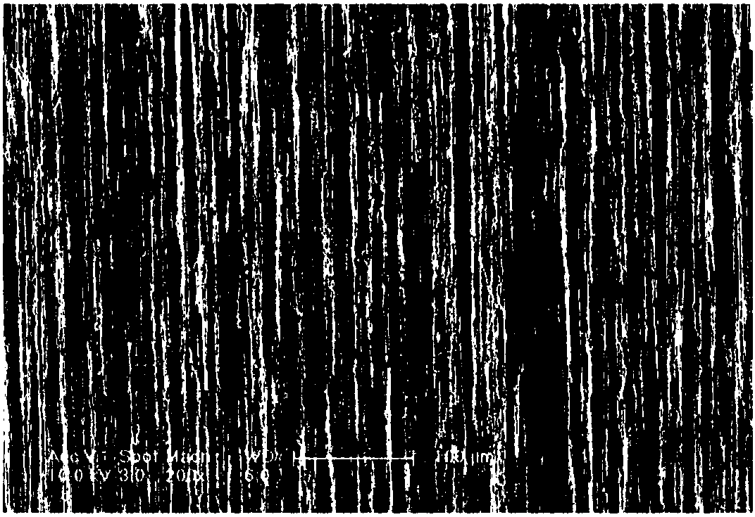 Organic light emitting diode